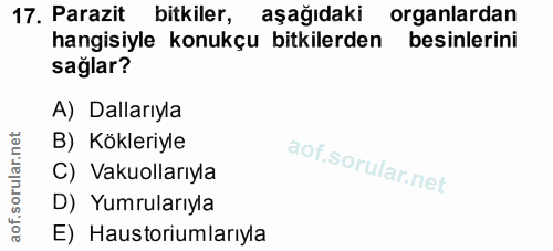 17. soru: Parazit bitkiler, aşağıdaki organlardan hangisiyle konukçu bitkilerden besinlerini sağlar? A) Dallarıyla B) Kökleriyl…