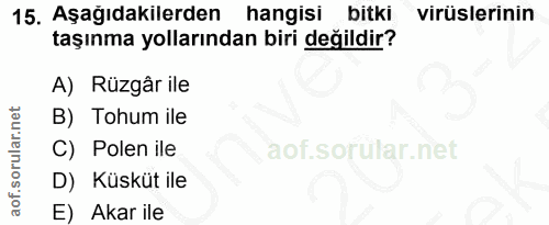 15. soru: Aşağıdakilerden hangisi bitki virüslerinin taşınma yollarından biri değildir? A) Rüzgâr ile B) Tohum ile C) Polen ile…