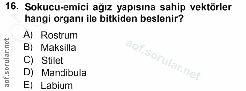 16. soru: Sokucu-emici ağız yapısına sahip vektörler hangi organı ile bitkiden beslenir? A) Rostrum B) Maksilla C) Stilet D) Ma…