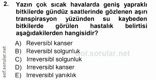 2. soru: Yazın çok sıcak havalarda geniş yapraklı bitkilerde gündüz saatlerinde gözlenen aşırı transpirasyon yüzünden su kaybe…