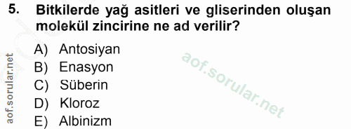 5. soru: Bitkilerde yağ asitleri ve gliserinden oluşan molekül zincirine ne ad verilir? A) Atosiyan B) Enasyon C) Süberin D) K…