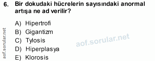 6. soru: Bir dokudaki hücrelerin sayısındaki anormal artışa ne ad verilir? A) Hipertrofi B) Gigantizm C) Tylosis D) Hiperplasy…