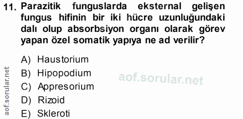 11. soru: Parazitik funguslarda eksternal gelişen fungus hifinin bir iki hücre uzunluğundaki dalı olup absorbsiyon organı olara…