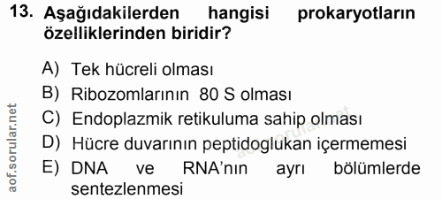 13. soru: Aşağıdakilerden hangisi prokaryotların özelliklerinden biridir? A) Tek hücreli olması B) Ribozomlarının 80 S olması C…