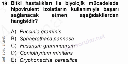 19. soru: Bitki hastalıkları ile biyolojik mücadelede hipovirulent izolatların kullanımıyla başarı sağlanacak etmen aşağıdakile…