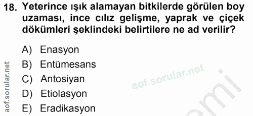 18. soru: Yeterince ışık alamayan bitkilerde görülen boy uzaması, ince cılız gelişme, yaprak ve çiçek dökümleri şeklindeki beli…