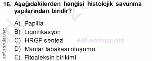 16. soru: Aşağıdakilerden hangisi histolojik savunma yapılarından biridir? A) Papilla B) Lignifikasyon C) HRGP sentezi D) Manta…