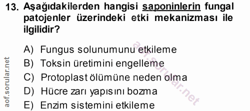 13. soru: Aşağıdakilerden hangisi saponinlerin fungal patojenler üzerindeki etki mekanizması ile ilgilidir? A) Fungus solunumun…