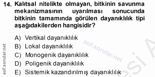 14. soru: Kalıtsal nitelikte olmayan, bitkinin savunma mekanizmasının uyarılması sonucunda bitkinin tamamında görülen dayanıklı…