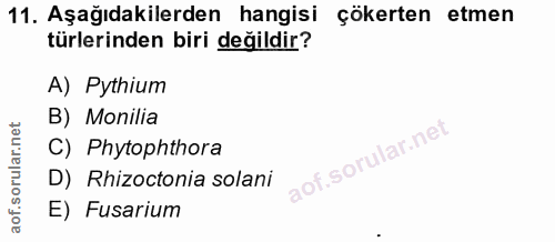11. soru: Aşağıdakilerden hangisi çökerten etmen türlerinden biri değildir? A) Pythium B) Monilia C) Phytophthora D) Rhizoctoni…