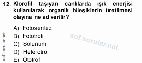 12. soru: Klorofil taşıyan canlilarda ışık enerjisi kullanılarak organik bileşiklerin üretilmesi olayına ne ad verilir? A) Foto…