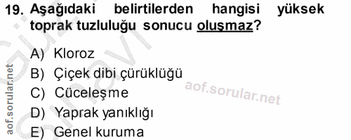 19. soru: Aşağıdaki belirtilerden hangisı yüksek toprak tuzluluğu sonucu oluşmaz? A) Kloroz B) Çiçek dibi çürüklüğü C) Cüceleşm…