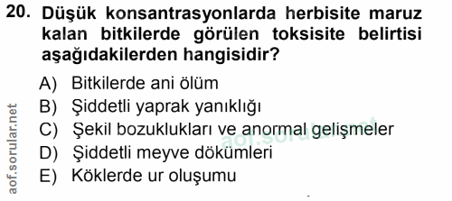 20. soru: Düşük konsantrasyonlarda herbisite maruz kalan bitkilerde görülen toksisite belirtisi aşağıdakilerden hangisidir? A)…