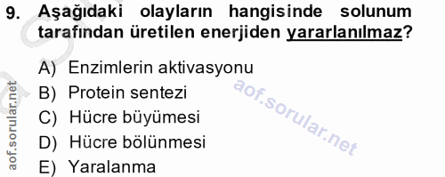 9. soru: Aşağıdaki olayların hangisinde solunum tarafından üretilen enerjiden yararlanılmaz? A) Enzimlerin aktivasyonu B) Prot…