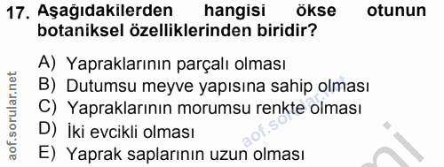 17. soru: Aşağıdakilerden hangisi ökse otunun botaniksel özelliklerinden biridir? A) Yapraklarının parçalı olması B) Dutumsu me…