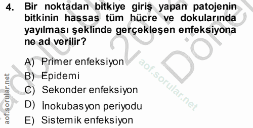 4. soru: Bir noktadan bitkiye giriş yapan patojenin bitkinin hassas tüm hücre ve dokularında yayılması şeklinde gerçekleşen en…