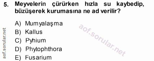 5. soru: Meyvelerin çürürken hızla su kaybedip, büzüşerek kurumasına ne ad verilir? A) Mumyalaşma B) Kallus C) Pyhium D) Phyto…