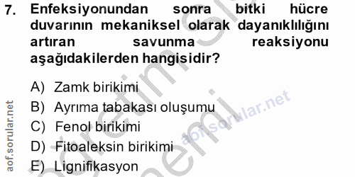 7. soru: Enfeksiyonundan sonra bitki hücre duvarının mekaniksel olarak dayanıklilığını artıran savunma reaksiyonu aşağıdakiler…