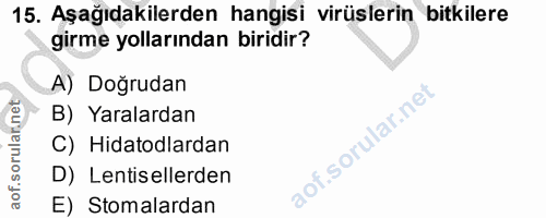 15. soru: Aşağıdakilerden hangisi virüslerin bitkilere girme yollarından biridir? A) Doğrudan B) Yaralardan C) Hidatodlardan D)…