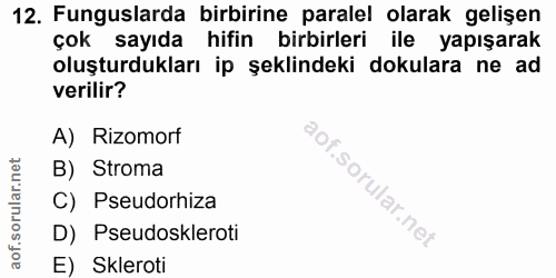12. soru: Funguslarda birbirine paralel olarak gelişen çok sayıda hifin birbirleri ile yapışarak oluşturdukları ip şeklindeki d…