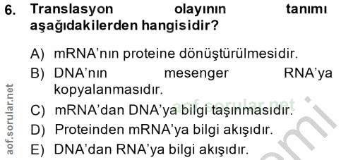 6. soru: Translasyon olayının tanımı aşağıdakilerden hangisidir? A) mRNA'nın proteine dönüştürülmesidir. B) DNA'nin mesenger R…