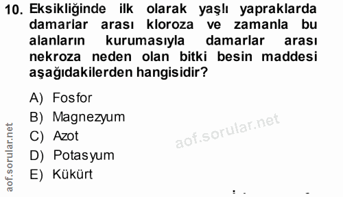 10. soru: Eksikliğinde ilk olarak yaşlı yapraklarda damarlar arası kloroza ve zamanla bu alanların kurumasıyla damarlar arası n…