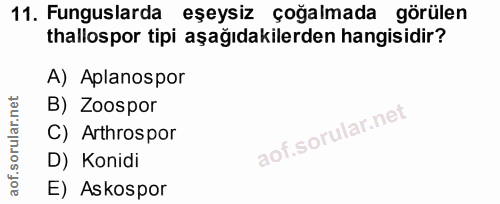 11. soru: Funguslarda eşeysiz çoğalmada görülen thallospor tipi aşağıdakilerden hangisidir? A) Aplanospor B) Zoospor C) Arthros…