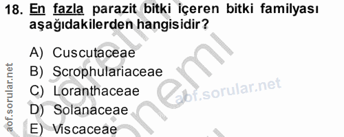 18. soru: En fazla parazit bitki içeren bitki familyası aşağıdakilerden hangisidir? A) Cuscutaceae B) Scrophulariaceae C) Loran…
