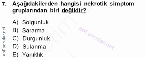 7. soru: Aşağıdakilerden hangisi nekrotik simptom gruplarından biri değildir? A) Solgunluk B) Sararma C) Durgunluk D) Sulanma…