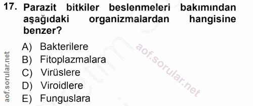 17. soru: Parazit bitkiler beslenmeleri bakımından aşağıdaki organizmalardan hangisine benzer? A) Bakterilere B) Fitoplazmalara…