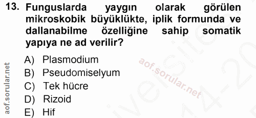 13. soru: Funguslarda yaygin olarak görülen mikroskobik büyüklükte, iplik formunda ve dallanabilme özelligine sahip somatik yap…