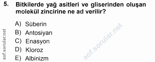 5. soru: Bitkilerde yağ asitleri ve gliserinden oluşan molekül zincirine ne ad verilir? A) Süberin B) Atosiyan C) Enasyon D) K…