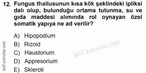 12. soru: Fungus thallusunun kısa kök şeklindeki ipliksi dalı olup, bulunduğu ortama tutunma, su ve gıda maddesi alımında rol o…