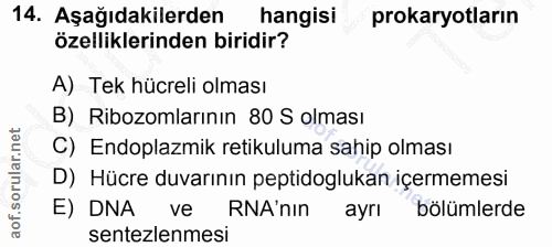 14. soru: Aşağıdakilerden hangisi prokaryotların özelliklerinden biridir? A) Tek hücreli olması B) Ribozomlarının 80 S olması C…
