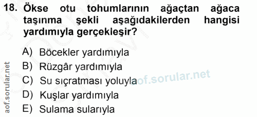 18. soru: Ökse otu tohumlarının ağaçtan ağaca taşınma şekli aşağıdakilerden hangisi yardımıyla gerçekleşir? A) Böcekler yardımı…