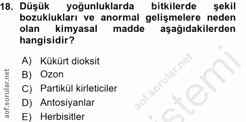 18. soru: Düşük yoğunluklarda bitkilerde şekil bozuklukları ve anormal gelişmelere neden olan kimyasal madde aşağıdakilerden ha…