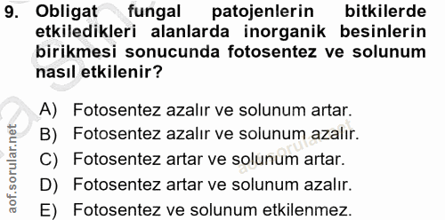 9. soru: Obligat fungal patojenlerin bitkilerde etkiledikleri alanlarda inorganik besinlerin birikmesi sonucunda fotosentez ve…
