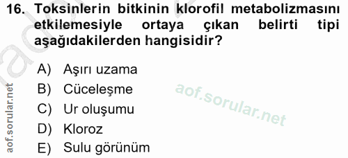 16. soru: Toksinlerin bitkinin klorofil metabolizmasını etkilemesiyle ortaya çıkan belirti aşağıdakilerden hangisidir? A) Aşırı…