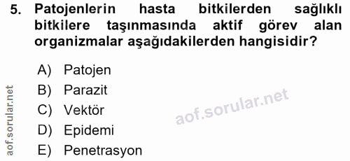 5. soru: Patojenlerin hasta bitkilerden sağlıklı bitkilere taşınmasında aktif görev alan organizmalar aşağıdakilerden hangisid…