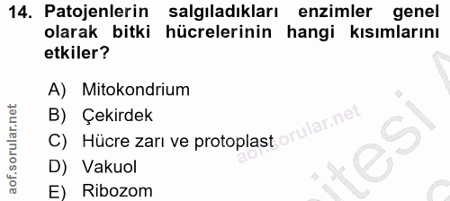 14. soru: Patojenlerin salgıladıkları enzimler genel olarak bitki hücrelerinin hangi kısımlarını etkiler? A) Mitokondrium B) Çe…