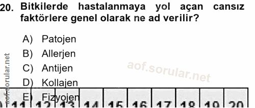 20. soru: Bitkilerde hastalanmaya yol açan cansız faktörlere genel olarak ne ad verilir? A) Patojen B) Allerjen orular.net C) A…