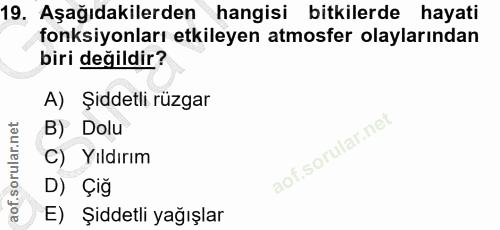 19. soru: Aşağıdakilerden hangisi bitkilerde hayati fonksiyonları etkileyen atmosfer olaylarından biri değildir? A) Şiddetli rü…