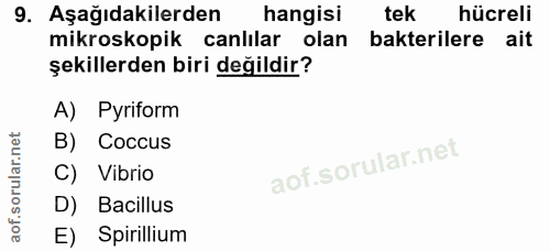 9. soru: Aşağıdakilerden hangisi tek hücreli mikroskopik canlilar olan bakterilere ait şekillerden biri değildir? A) Pyriform…
