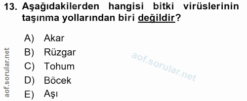 13. soru: Aşağıdakilerden hangisi bitki virüslerinin taşınma yollarından biri değildir? A) Akar B) Rüzgar C) Tohum D) Böcek E) Aşı