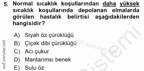 5. soru: Normal sıcaklık koşullarından daha yüksek sıcaklık koşullarında depolanan elmalarda görülen hastalık belirtisi aşağıd…