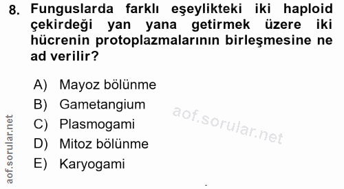 8. soru: Funguslarda farklı eşeylikteki iki haploid çekirdeği yan yana getirmek üzere iki hücrenin protoplazmalarının birleşme…