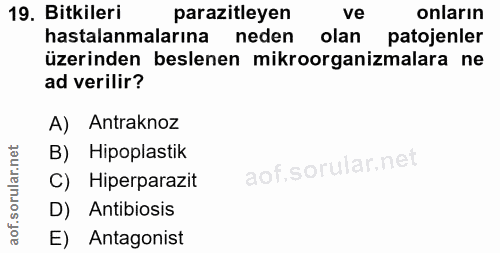 19. soru: Bitkileri parazitleyen ve onların hastalanmalarına neden olan patojenler üzerinden beslenen mikroorganizmalara ne ad…