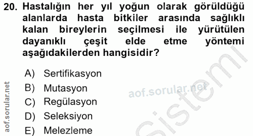 20. soru: Hastalığın her yıl yoğun olarak görüldüğü alanlarda hasta bitkiler arasında saglıklı kalan bireylerin seçilmesi ile y…