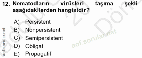 12. soru: Nematodların virüsleri taşıma şekli aşağıdakilerden hangisidir? A) Persistent B) Nonpersistent C) Semipersistent aof.…