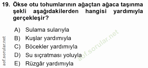 19. soru: Ökse otu tohumlarının ağaçtan ağaca taşınma şekli aşağıdakilerden hangisi yardımıyla gerçekleşir? A) Sulama sularıyla…